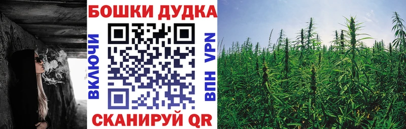 Купить закладку КОКАИН  Псилоцибиновые грибы  Вейп ТГК  МЕФ  Гашиш  Великий Новгород